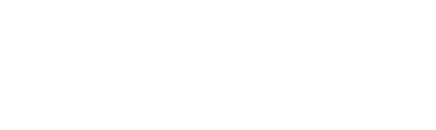 Zang Toi
